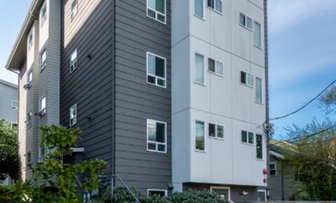 Apartments Near Pima Medical Institute-Seattle Sophie Studios 4743 21st Ave NE for Pima Medical Institute-Seattle Students in Seattle, WA