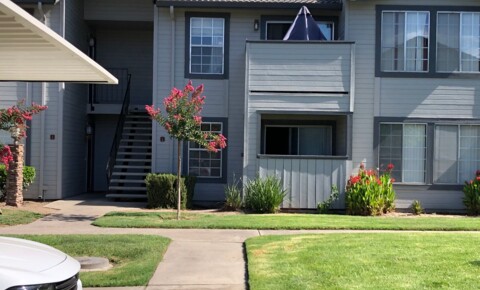 Apartments Near Modesto Available Now!! Close to Freeway, Schools & Shopping for Modesto Students in Modesto, CA
