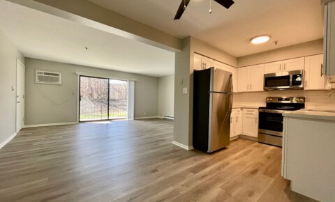 Apartments Near Downers Grove RENOVATED APARTMENT WITH IN-UNIT WASHER-DRYER & GARAGE PARKING! for Downers Grove Students in Downers Grove, IL