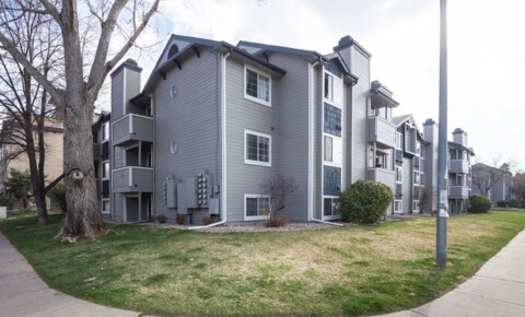 Apartments Near Colorado 720 City Park D415  for Colorado Students in , CO