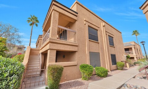 Apartments Near Fountain Hills REMODELED 2 bed 2 bath Condo In Fountain Hills  for Fountain Hills Students in Fountain Hills, AZ