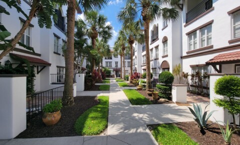 Apartments Near Everest University-Tampa 623 Casabella Circle for Everest University-Tampa Students in Tampa, FL