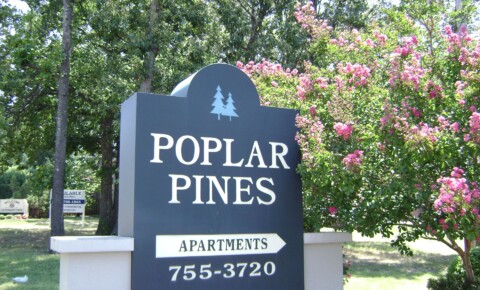 Apartments Near Mississippi Poplar Pines  for Mississippi Students in , MS