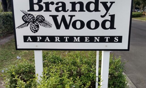 Apartments Near UCF Brandywood Apt for University of Central Florida Students in Orlando, FL