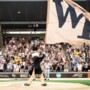 UNC Greensboro Spartans at Wake Forest Demon Deacons Baseball