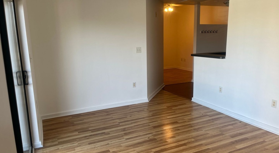 Uptown condo, 2 blocks from center of Charlotte