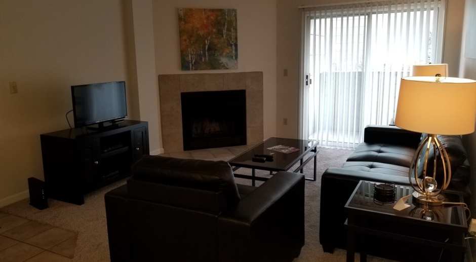 Move In Ready Special!! Nicely updated, fully furnished one bedroom condo with flexible lease terms!