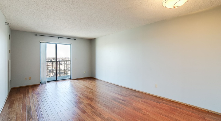 Stunning Unit in The Pointe building in Downtown St. Paul