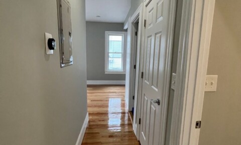 Apartments Near SSC Nice 2 bed with laundry in unit for Salem State College Students in Salem, MA