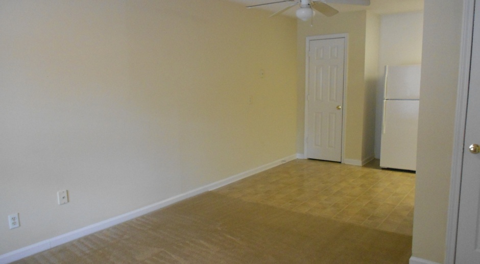 Affordable 1 bedroom units just 1 mile from UGA campus!