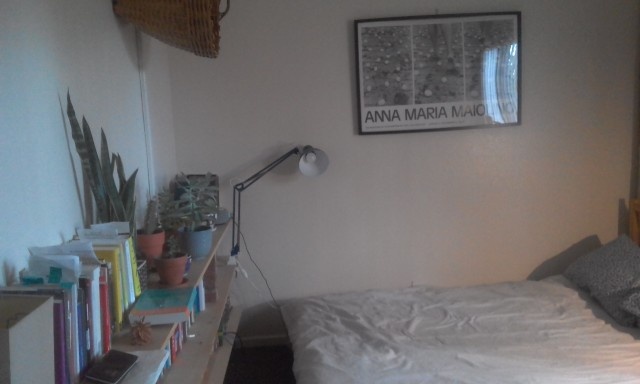 Subletting my light, homely room in a friendly flat to UCI affiliated