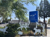 SMC Jobs Receptionist  Posted by VCA Community Companion Animal Hospital for Santa Monica College Students in Santa Monica, CA