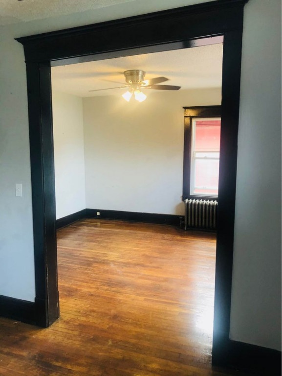 Fully renovated College Home Available June 1st, 2022