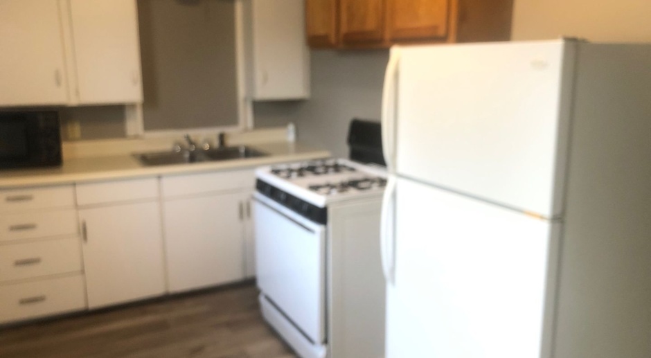 Very well decorated and furnished 4 BR house near IWU. Ideal for students with 2 kitchens