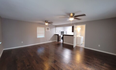 Apartments Near UIW 234 Senisa for University of the Incarnate Word Students in San Antonio, TX