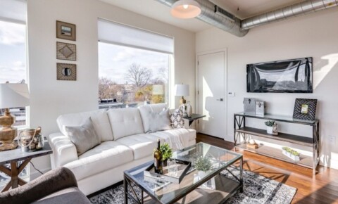 Apartments Near Haverford 2bed/2bath w/ floor to ceiling windows in Brewerytown - Pet friendly, roof deck! for Haverford College Students in Haverford, PA