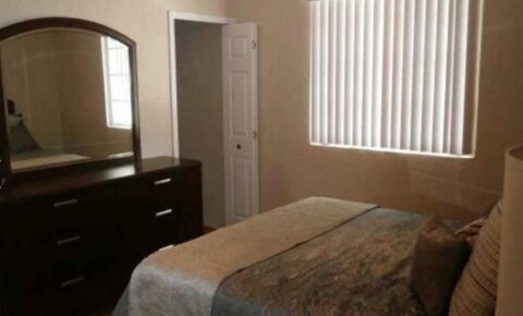 Apartments Near SPC 1121 Druid Road for St. Petersburg College Students in Clearwater, FL