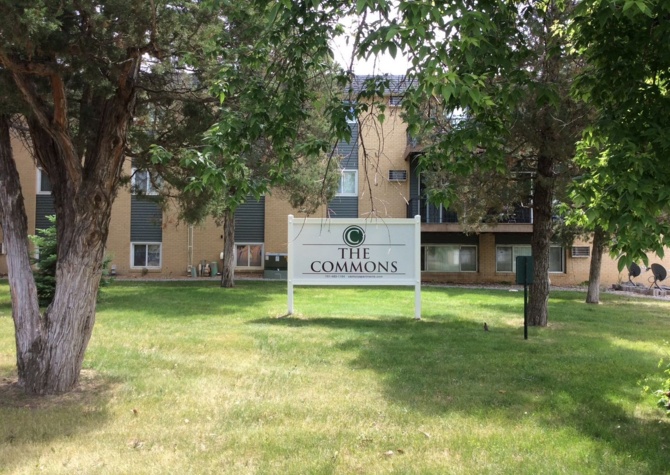 Apartments Near The Commons