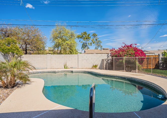 Houses Near Beautiful Remodeled home with Gorgeous POOL