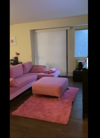 Looking for one more female for 2 bed 2 bath in Westwood 
