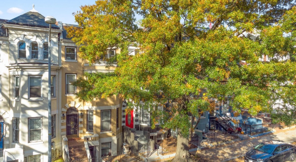 Renovated 1br 1ba in Ledroit Park, NW DC 