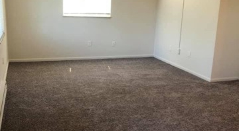 1 bedroom Apatment- Close to UD