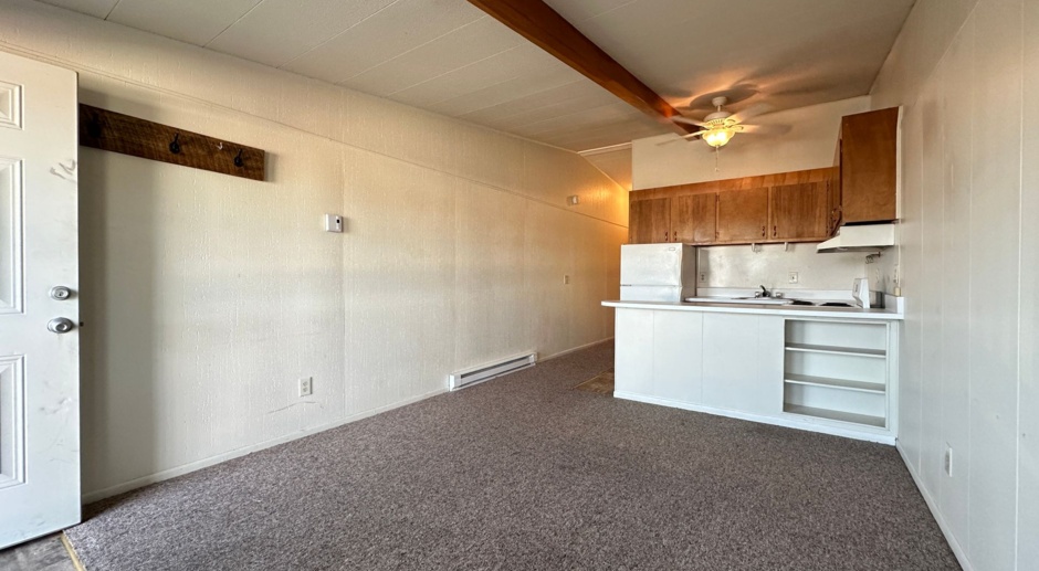 1 Bedroom 1 Bathroom Apartment Available June 15th