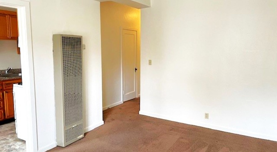This is a nice 1-bedroom apartment with modern fixtures and appliances