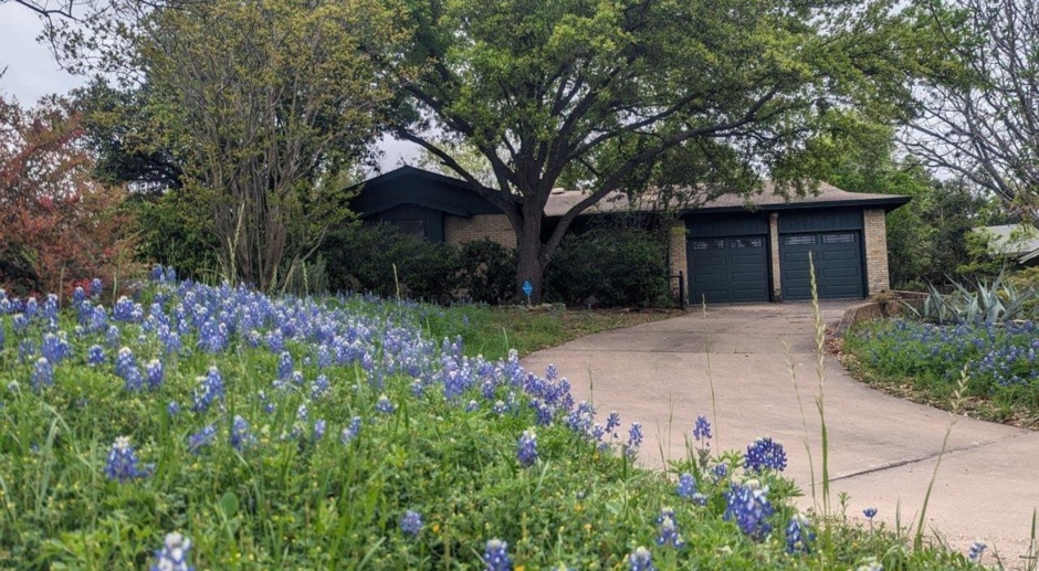 Great remodel of lovely home on corner lot in Travis Heights area of S Austin!
