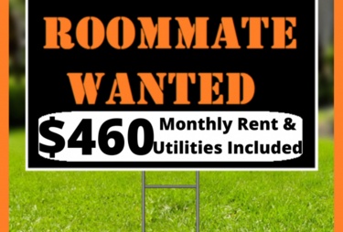 Roommate Opportunity