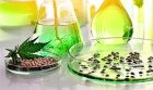 Cannabis Compliance, Testing, and Research