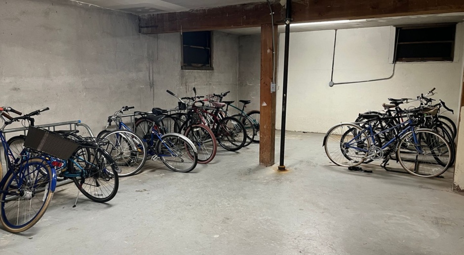 Large / Close-In Studio on Belmont! Hardwood Floors, Bike Storage & Pet Friendly!