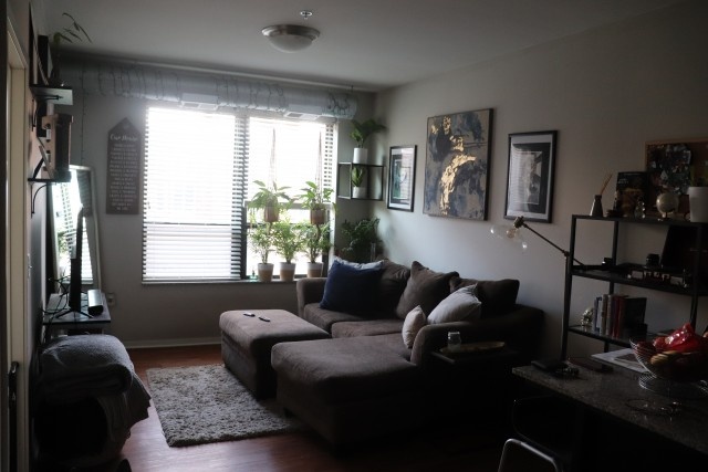 1Bd 1B for $1,285 willing to negotiate (If needed)