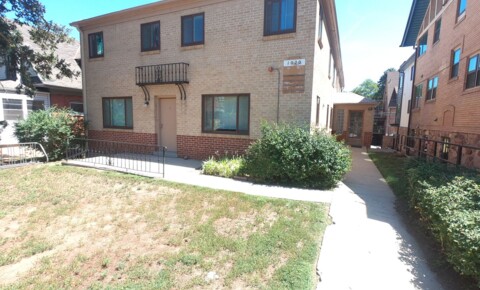 Apartments Near Naropa 1020 14th for Naropa University Students in Boulder, CO