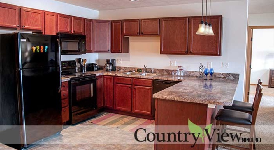 Beautiful 2 Bedroom, 2 Bathroom at Country View Apartments