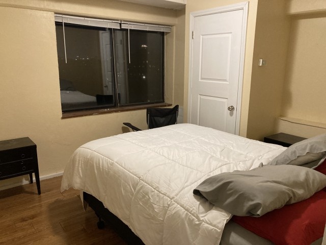 1br pet friendly apartment near Forest Park, Delmar loop and CWE
