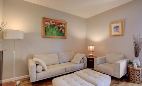Apartments Near Newbury Good 1bedroom and 1bath for rent. for Newbury College Students in Brookline, MA