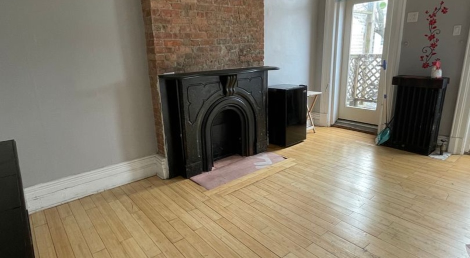 Beautiful studio and 1 bedroom apartment steps from Washington Park, Lark Street, and Albany Med.