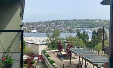 Apartments Near Bothell The Hudson Seattle for Bothell Students in Bothell, WA