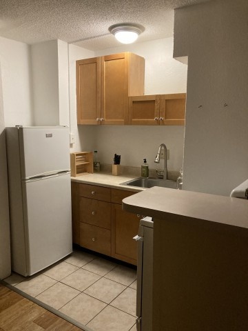 1br pet friendly apartment near Forest Park, Delmar loop and CWE