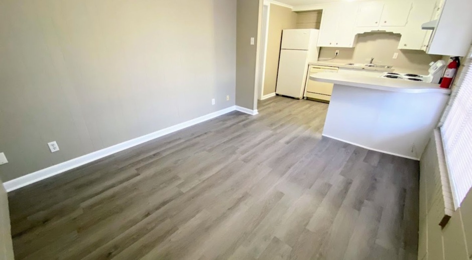 1BR/1BA Apartment at 419 Clarence Street - All Utilities Included