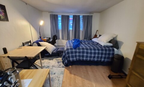 Apartments Near Mount Ida Cozy Studio - Off Street Parking - On Site Laundry for Mount Ida College Students in Newton, MA
