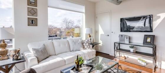 Penn Housing 2bed/2bath w/ floor to ceiling windows in Brewerytown - Pet friendly, roof deck! for University of Pennsylvania Students in Philadelphia, PA