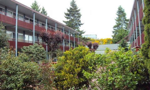 Apartments Near Bates Technical College  3228 S Union - El Popo for Bates Technical College  Students in Tacoma, WA