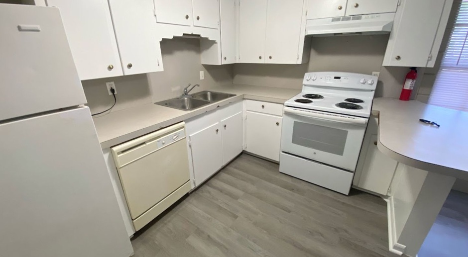 1BR/1BA Apartment at 419 Clarence Street - All Utilities Included