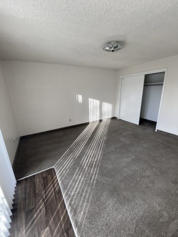 Half Off One Month for This Beautiful Updated 1 Bedroom Near UofU! Pet Friendly with Walk out Patio!