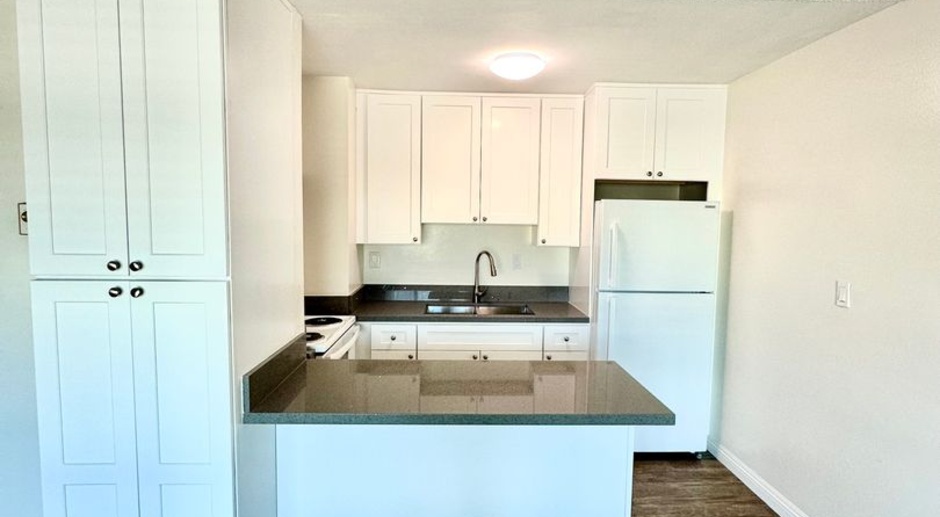 Fully Remodeled Studio Apartment with Community Amenities